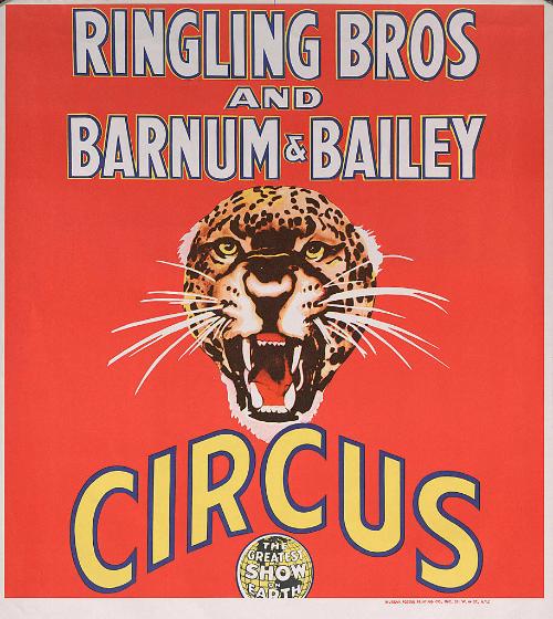 Ringling Bros. and Barnum & Bailey: Leopard