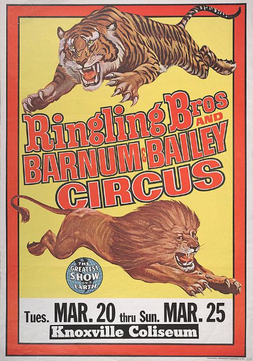Ringling Bros. and Barnum & Bailey: Lion and Tiger Jumping