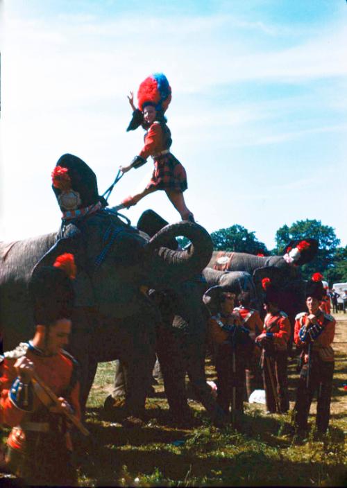 Lady on Elephant in Scotch Garb
