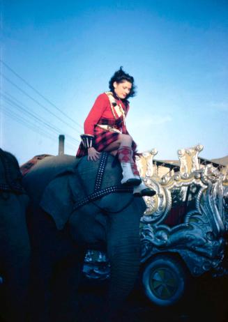Lady in Scotch Garb Mounting an Elephant