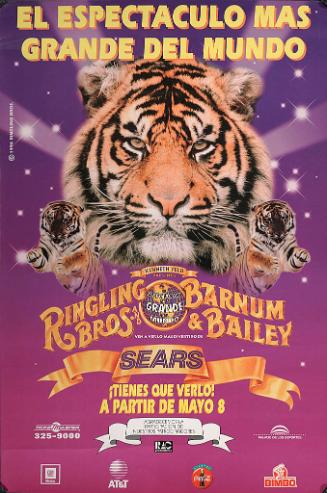 Ringling Bros. and Barnum & Bailey: Tiger Head