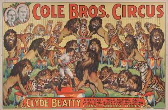 Cole Bros.: Clyde Beatty, Lions and Siberian Tigers