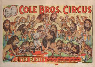 Cole Bros.: Clyde Beatty, Lions and Siberian Tigers
