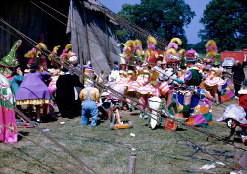 Toyland Spec in Backyard