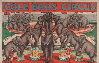 Cole Bros.: Elephant Acts
