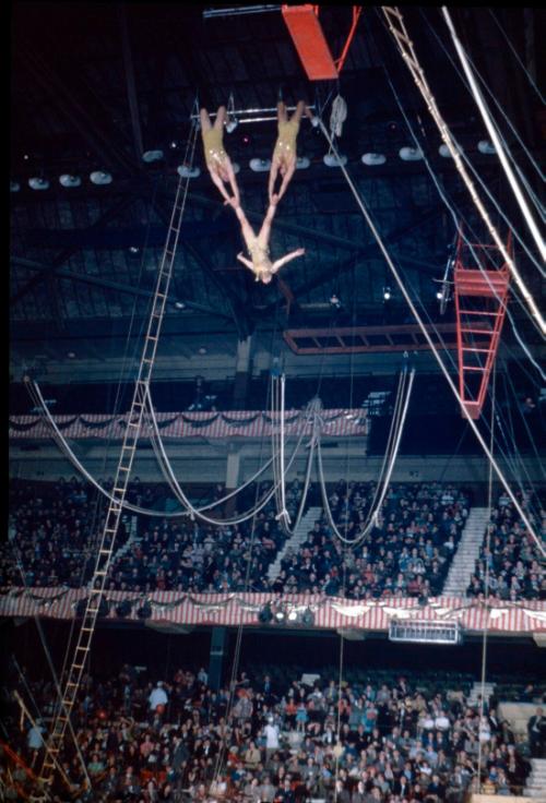 Aerial Act in Boston Garden