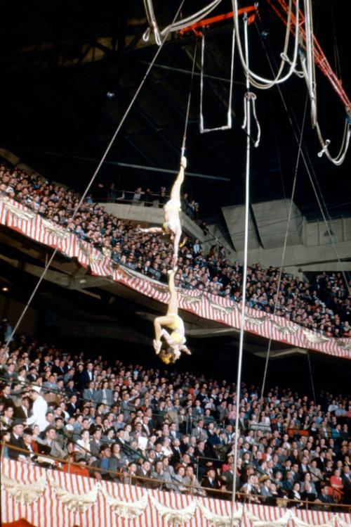 Aerial Act in Boston Gardens