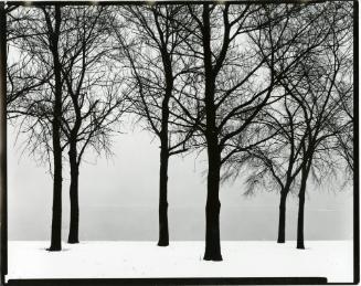 Harry Callahan, American, 1912-1999, Chicago, c.1950, Gelatin silver print, Foundation purchase…