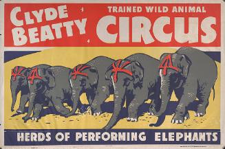 Clyde Beatty: Performing Elephants