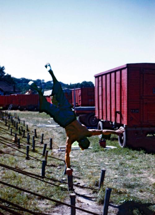 Performer doing a handstand on a stake in the Back Yard