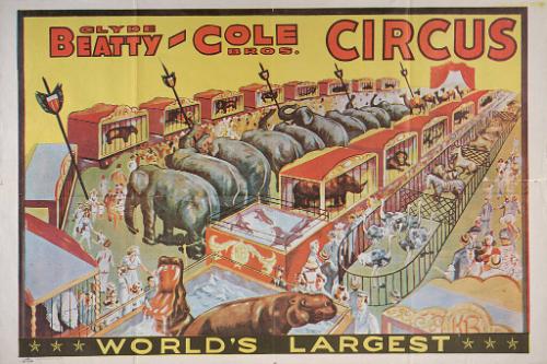 Beatty-Cole: Menagerie