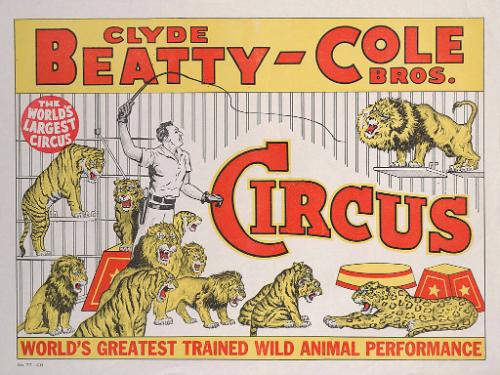 Beatty-Cole: Animal Trainer