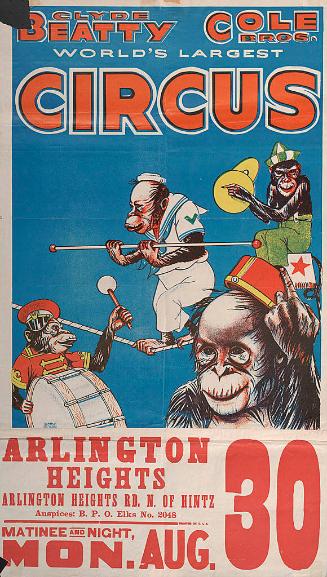 Beatty-Cole: Chimpanzees