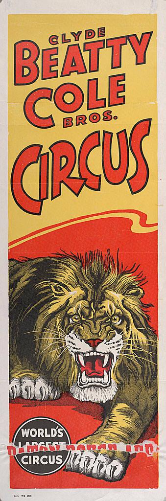 Beatty-Cole: Charging Lion Head