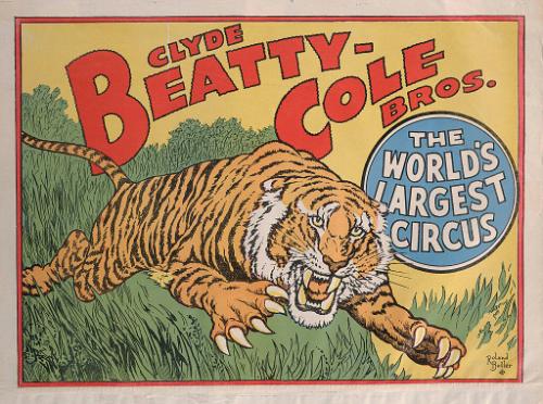Beatty-Cole: Charging Tiger