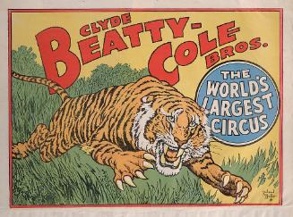 Beatty-Cole: Charging Tiger