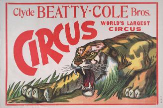 Beatty-Cole: Charging Tiger