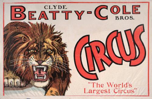 Beatty-Cole: Lion Head
