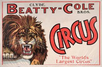 Beatty-Cole: Lion Head