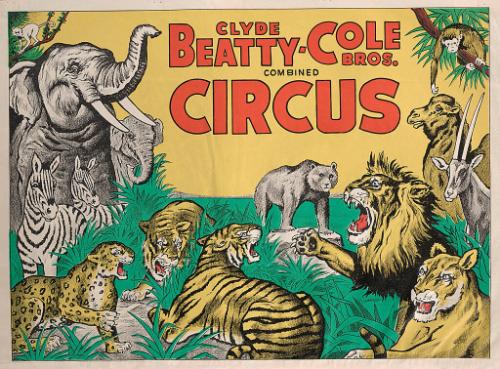 Beatty-Cole: Jungle Scene