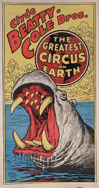 Beatty-Cole: Hippopotamus