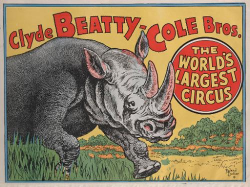 Beatty-Cole: Rhinoceros