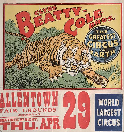 Beatty-Cole: Charging Tiger