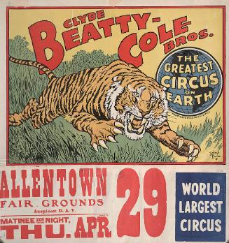 Beatty-Cole: Charging Tiger