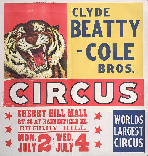 Beatty-Cole: Tiger