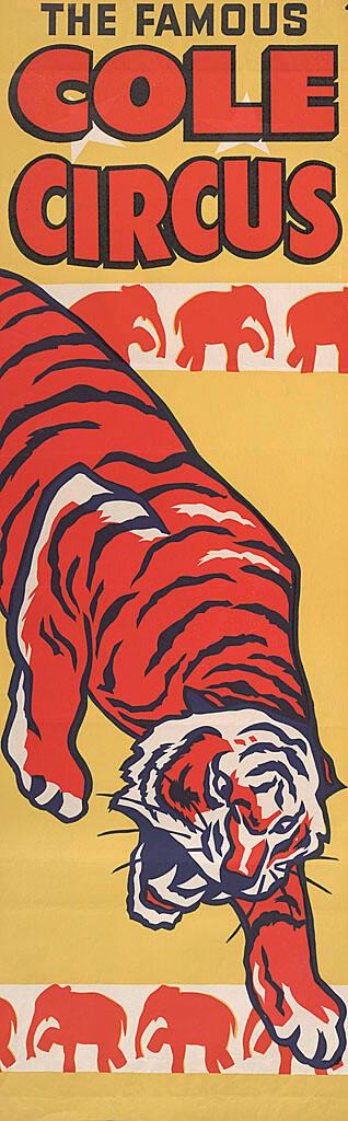 Famous Cole: Tiger