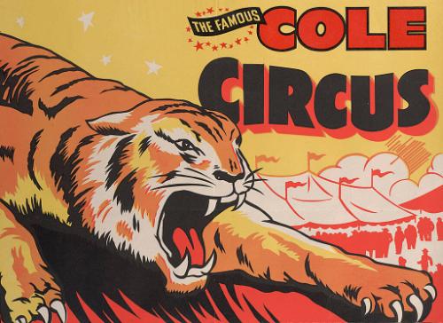 Famous Cole: Tiger