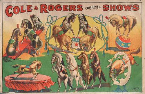 Cole & Rogers: Ponies