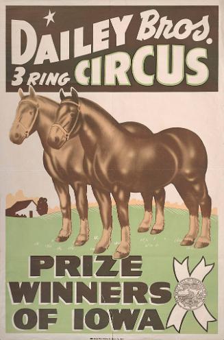 Dailey Bros.: Percheron Horses