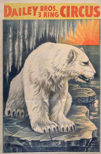 Dailey Bros.: Polar Bear