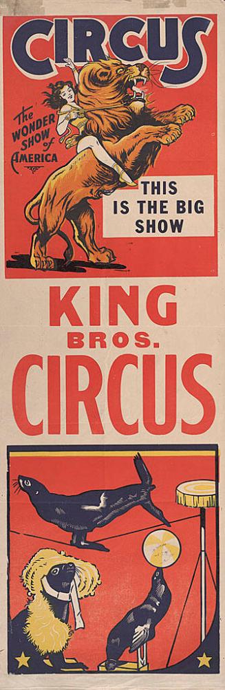 King Bros.: Lion Rider