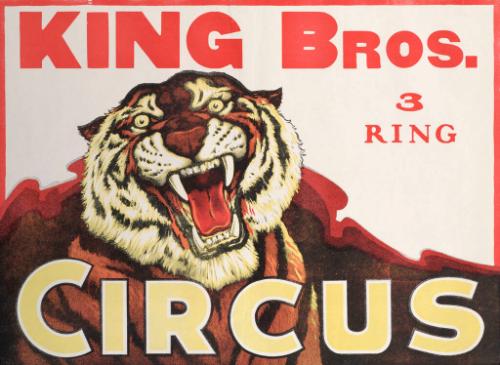 King Bros.: Tiger