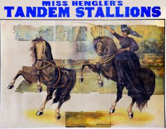 Courier Co., P.T. Barnum: Miss Hengler's Tandem Stallions, circa 1877, Ink on paper  