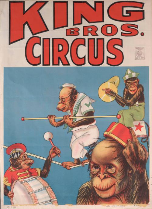 King Bros.: Chimpanzees