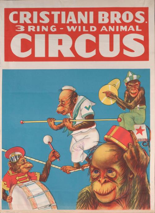 Cristiani Bros.: Chimpanzees