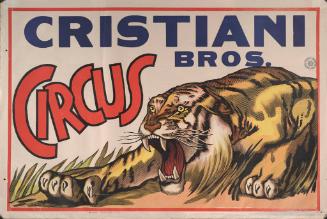 Cristiani Bros.: Tiger