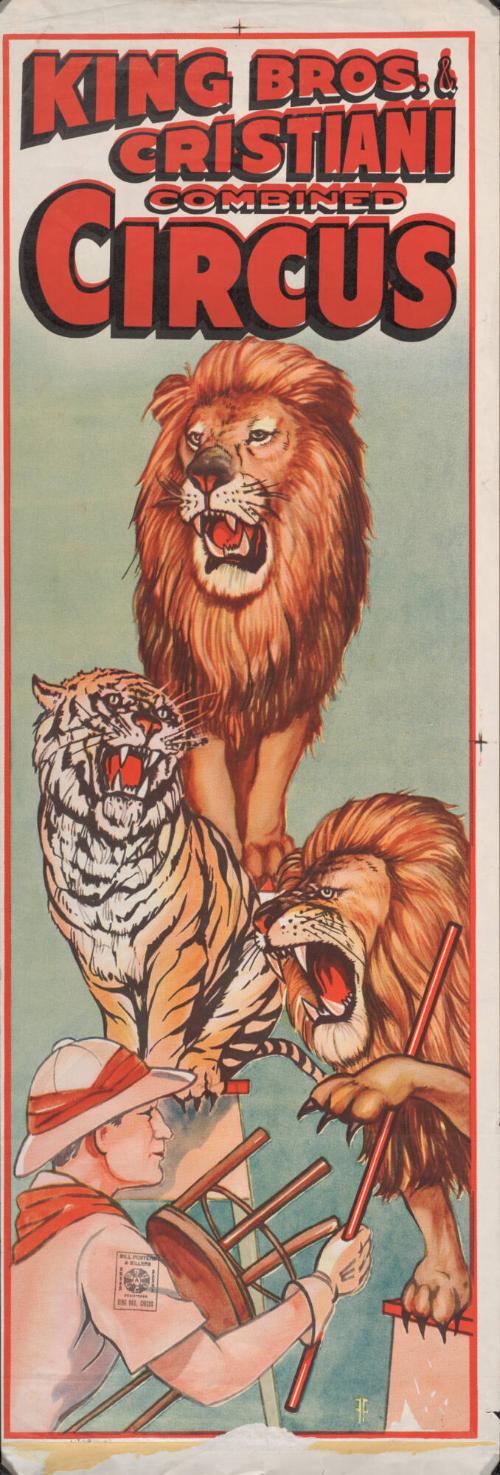 King-Cristiani: Cat Trainer