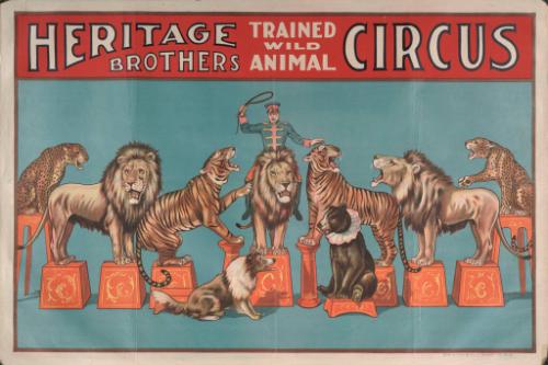 Heritage Bros.: Cat Acts