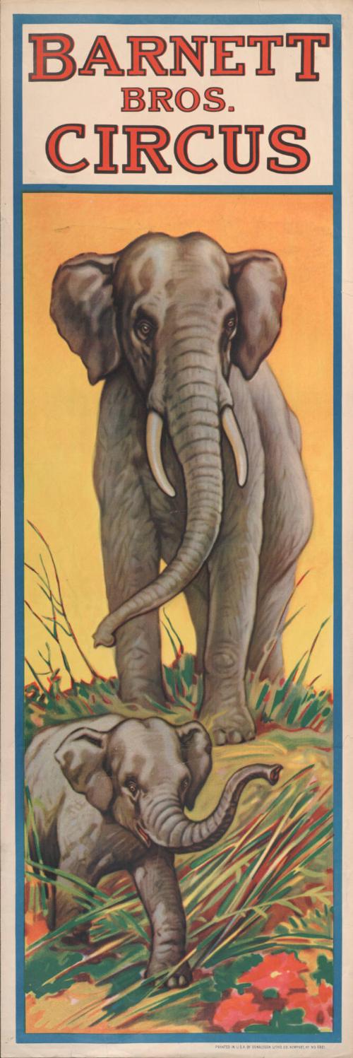 Barnett Brothers: Elephants