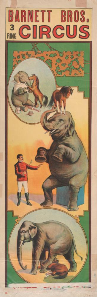 Barnett Brothers: Elephant and Pony Act