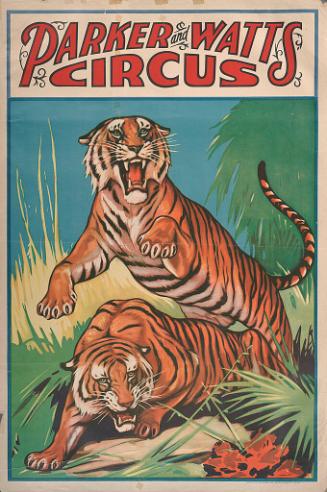 Parker & Watts: Tigers in the Bush