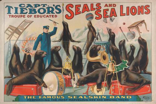 Captain Tiebor: The Famous Sealskin Band