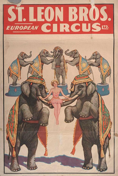 Saint Leon Bros.: Elephant Ride