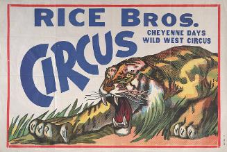 Rice Brothers: Creeping Tiger