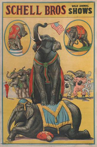 Schell Bros.: Elephant Act