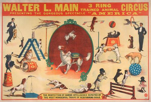Walter L. Main: Canine Intelligence